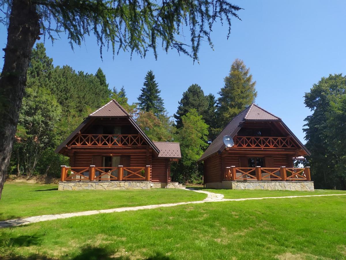 Brvnare Park Borova Villa Zlatibor Buitenkant foto