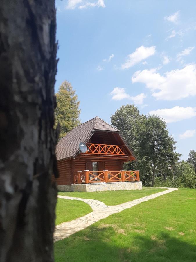 Brvnare Park Borova Villa Zlatibor Buitenkant foto