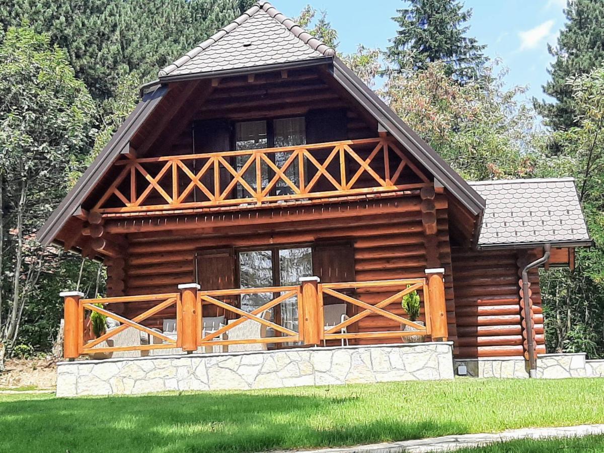 Brvnare Park Borova Villa Zlatibor Buitenkant foto