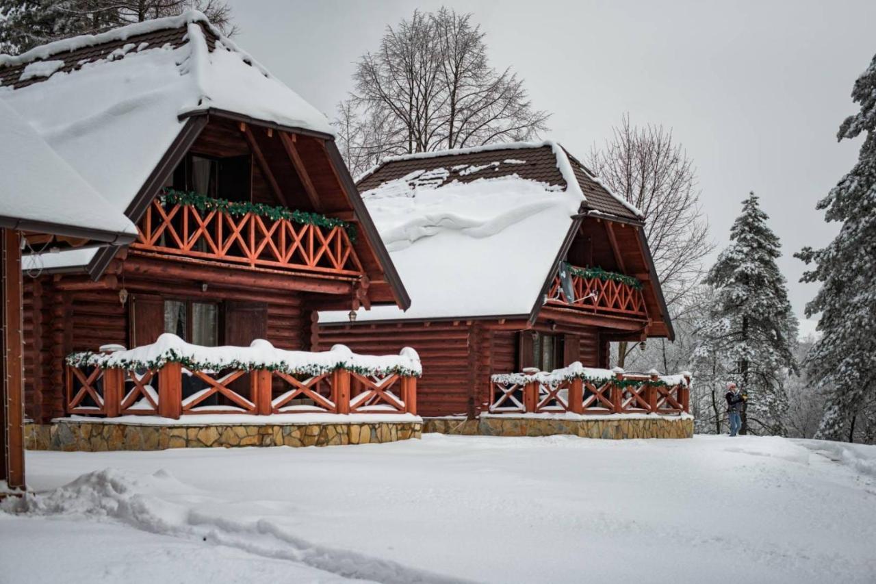Brvnare Park Borova Villa Zlatibor Buitenkant foto