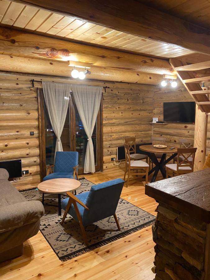 Brvnare Park Borova Villa Zlatibor Buitenkant foto